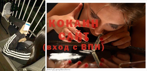 дживик Аркадак