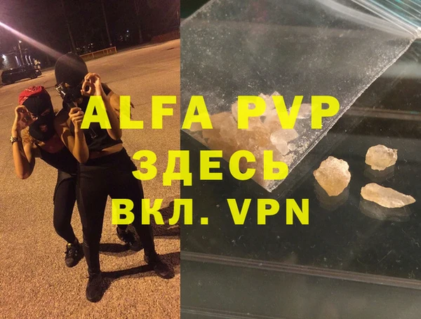 индика Нягань