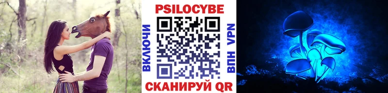 Псилоцибиновые грибы Psilocybe  хочу   Сасово 